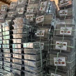 Bếp nướng than BBQ mini