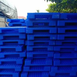 420636076 1344150296480379 5345838748371800582 n