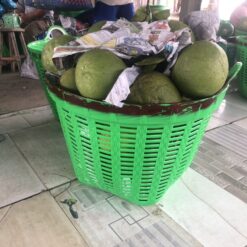 Cần xé đựng sầu riêng 3 z4116968425549c4917c9a4f82671a276fc3302fe97221 2571