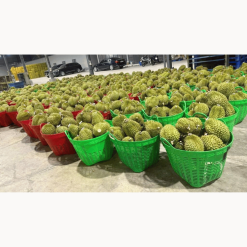 Cần xé nhựa đựng nông sản size lớn 4 Thiet ke chua co ten 20